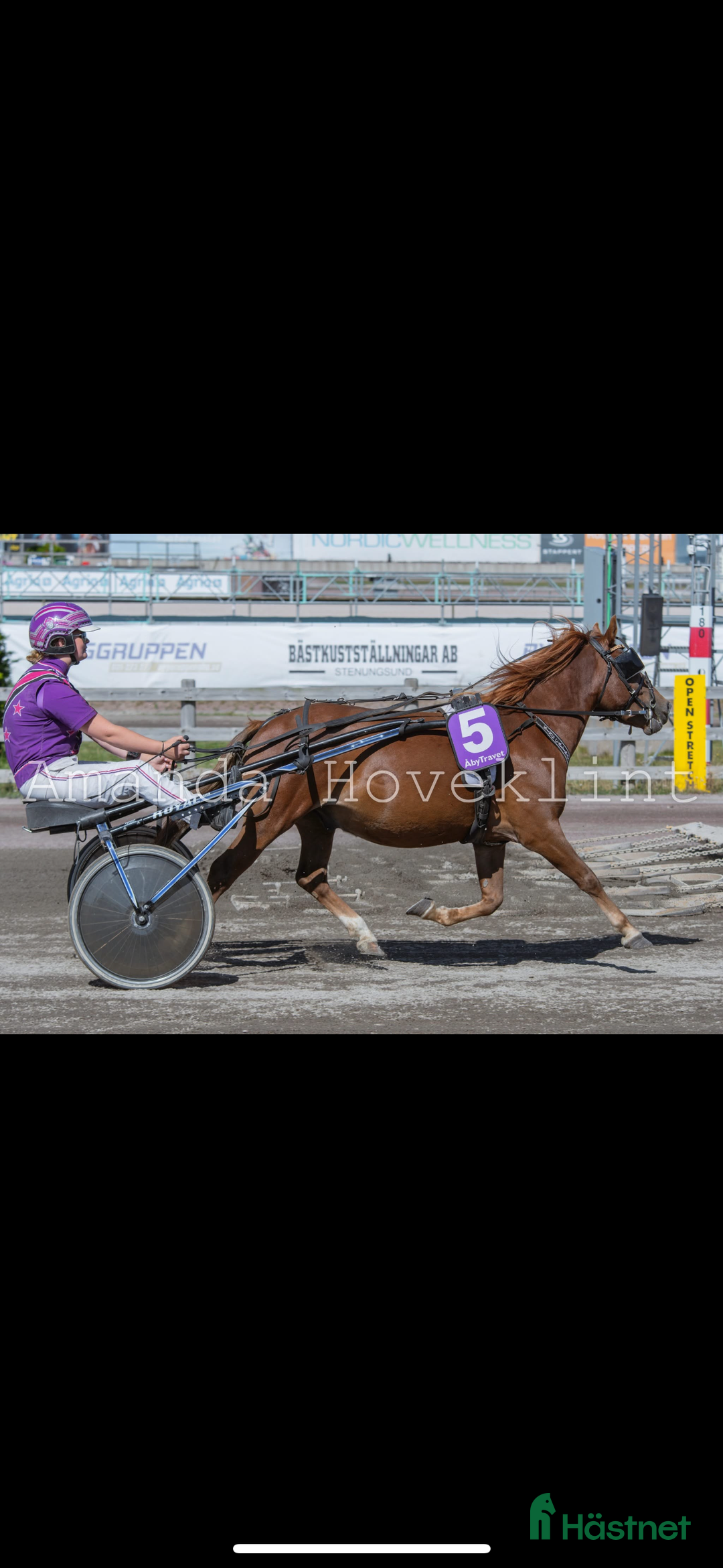 Trav hästar till salu: Trevlig och snygg fuxkille i Lövestad - Annons 3