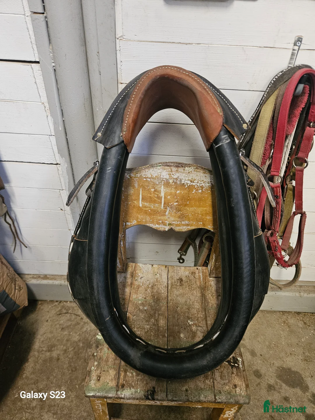 Körselar körning till salu: Hames/Collar i Byske - Annons 6