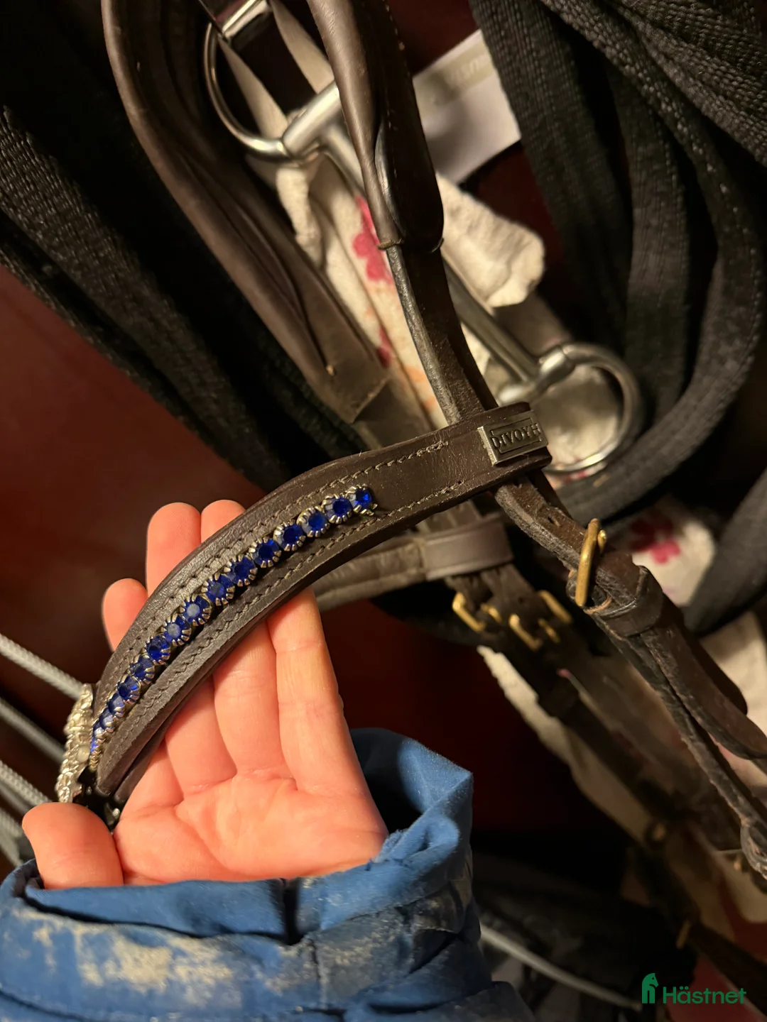 Träns hästutrustning till salu: Divoyh pannband i Haparanda - Annons 3