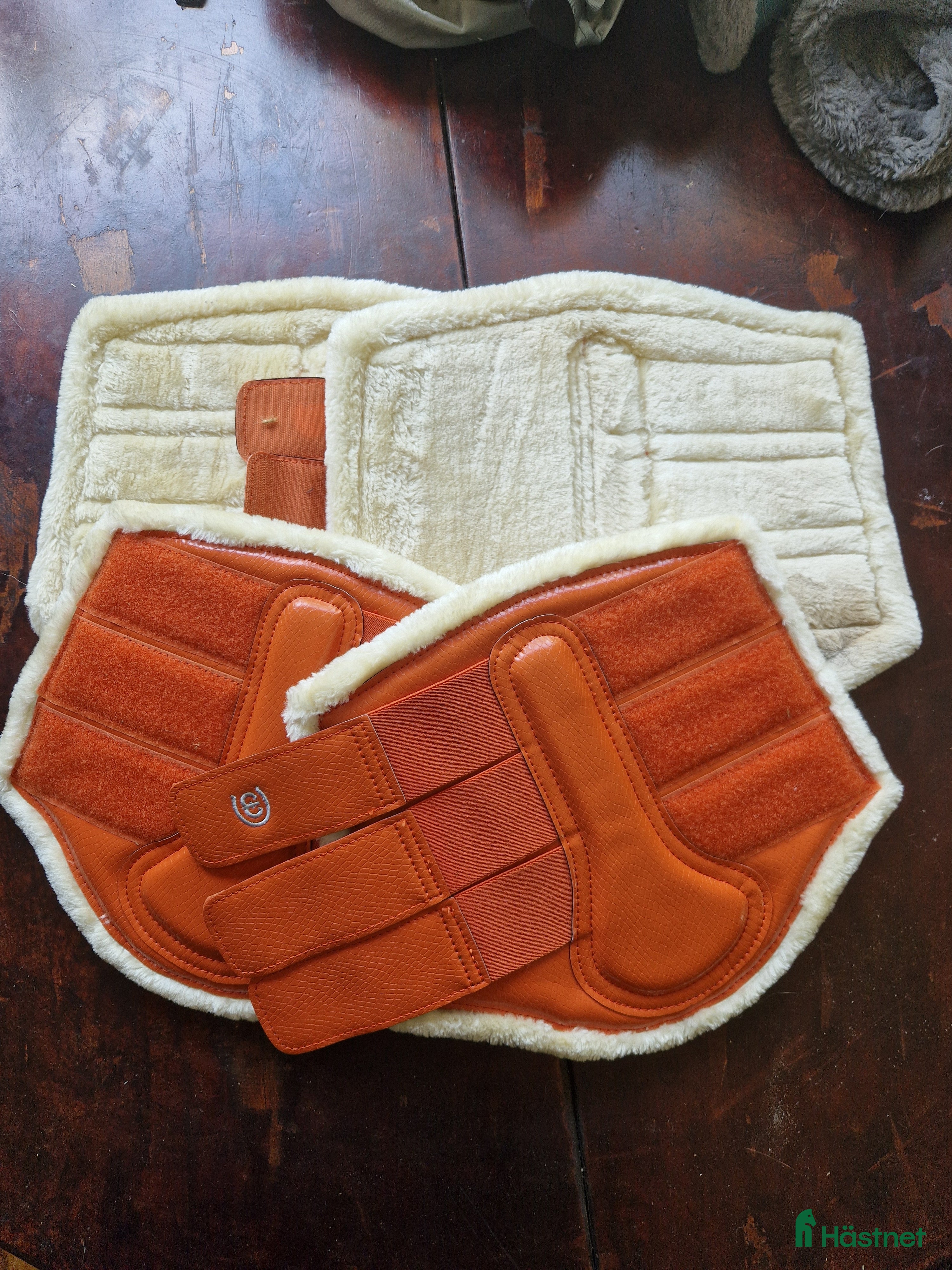 Benskydd hästutrustning till salu: Equestrian Stockholm brick orange  i Nossebro - Annons 18