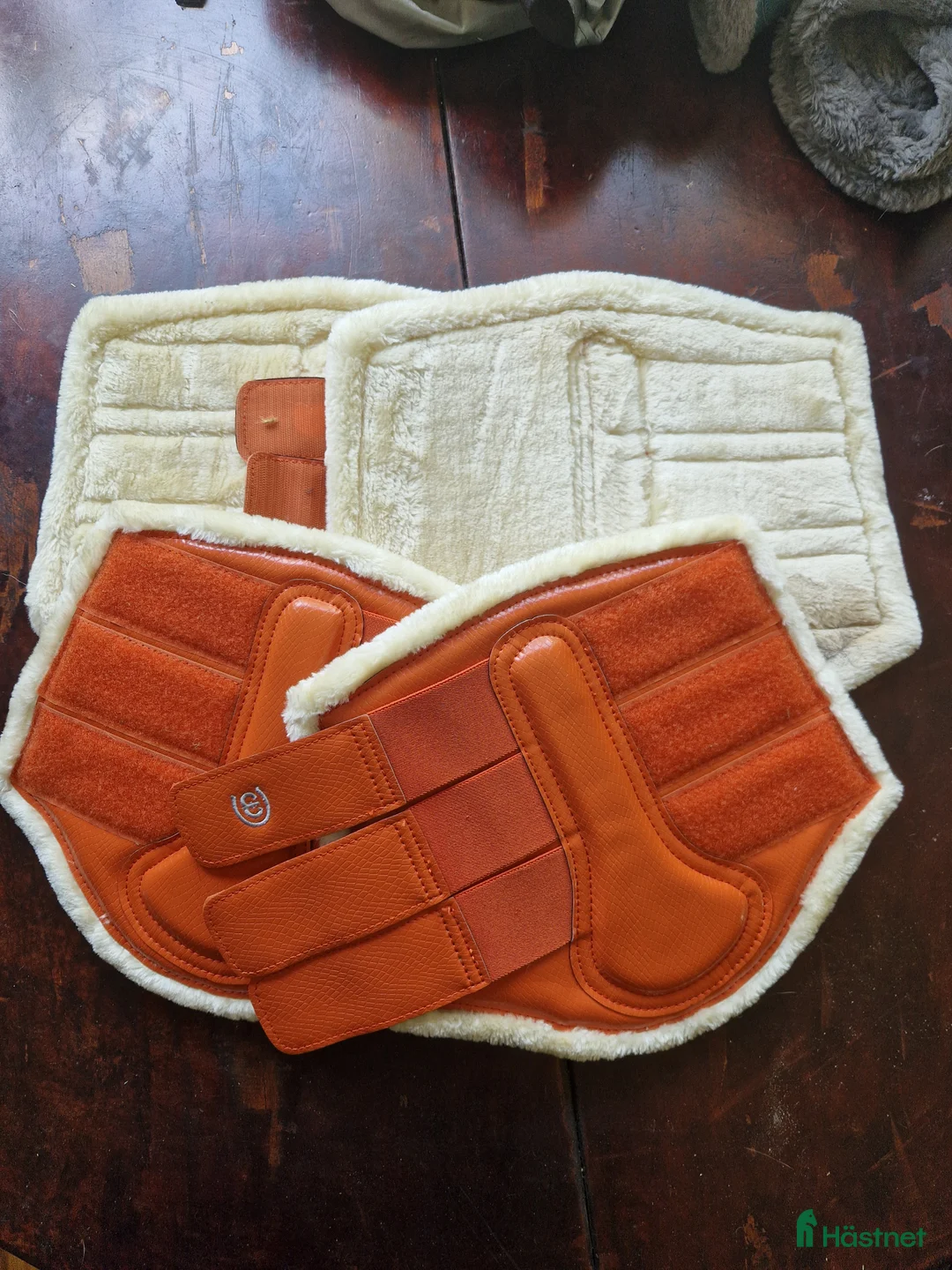 Benskydd hästutrustning till salu: Equestrian Stockholm brick orange  i Nossebro - Annons 1