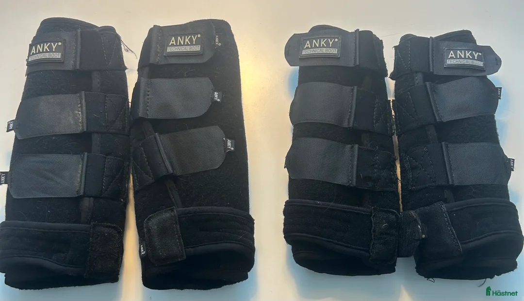 Benskydd hästutrustning till salu: Dressyrbenskydd Anki Svart neopren Fram & bak  i Växjö - Annons 4