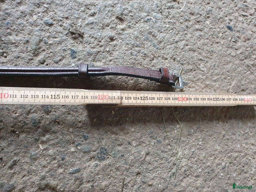 Övrig Hästutrustning hästutrustning till salu: Brun martingal i Näsåker - Annons 2