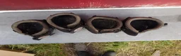 Övrig Hästutrustning hästutrustning till salu: Hovboots till minishettis stl M2 i Vallentuna - Annons 3