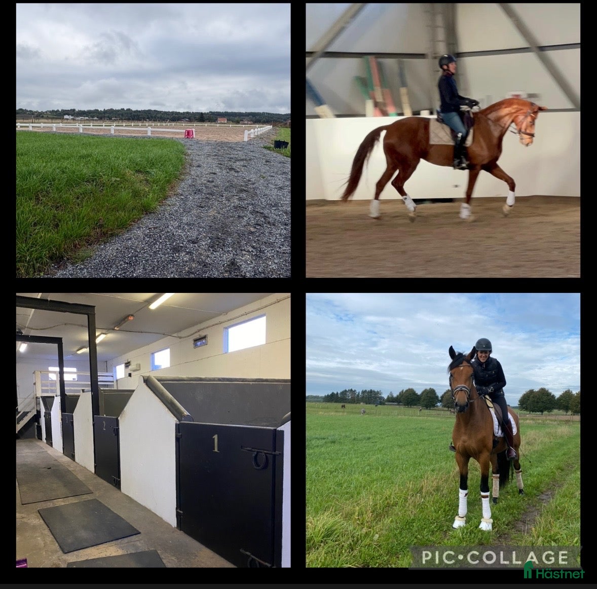  stallplats Trivsamt stall i centrala Fjärås 💖 - Annons 16
