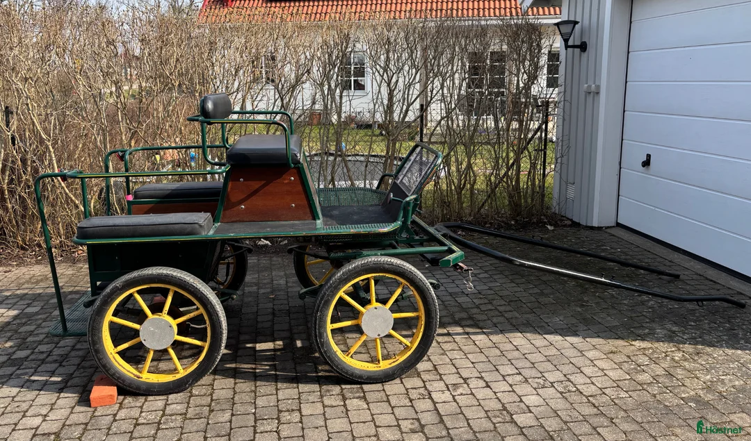 Körvagnar körning till salu: Maratonvagn, Wagonette - Annons 1