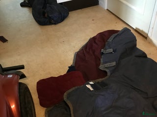 Täcken hästutrustning till salu: Tjockt Vintertäcke från bukas i Herrljunga - Annons 4