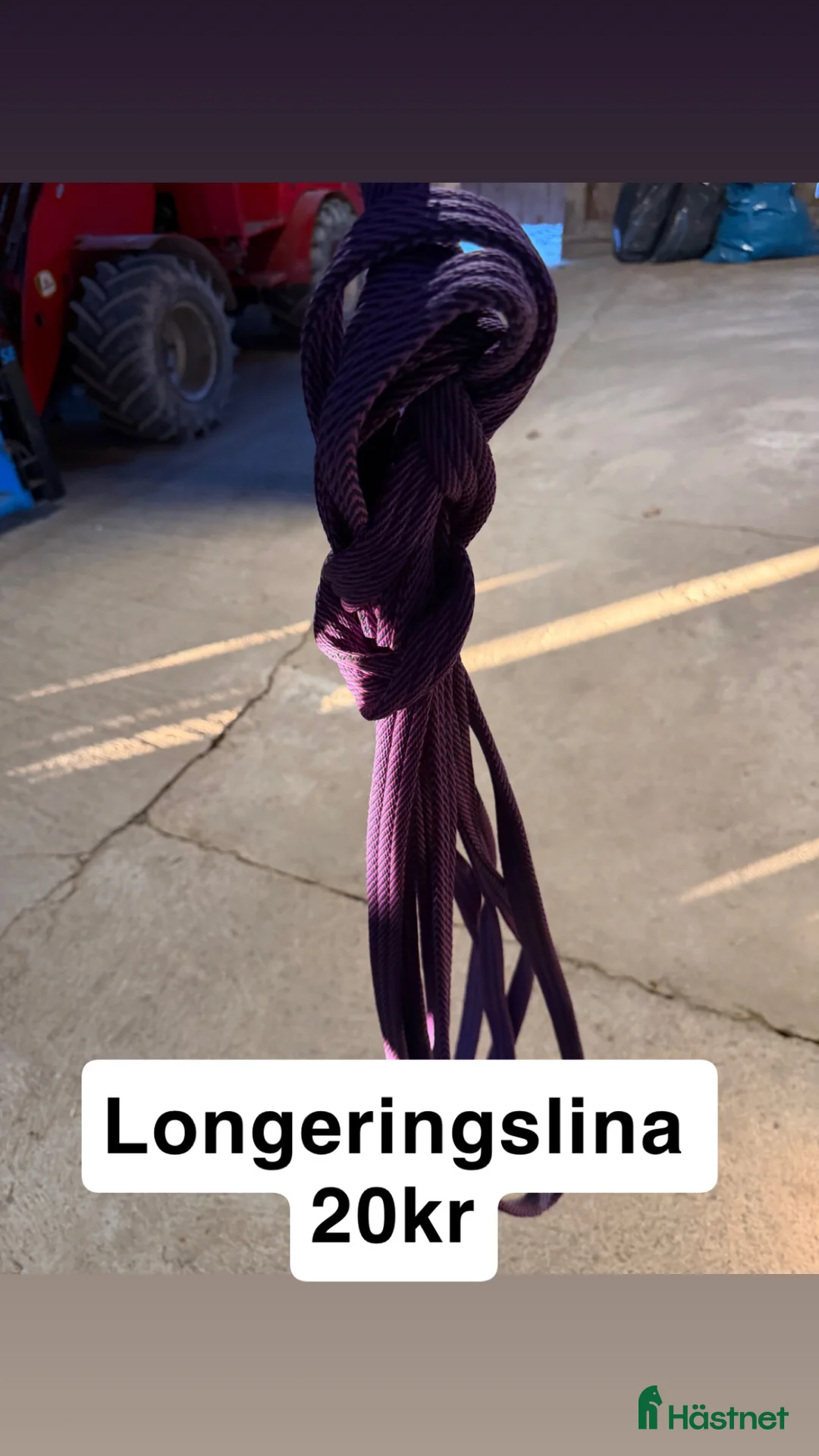 Schabrak & Vojlockar hästutrustning till salu: Schabrak mm i Norrköping - Annons 13