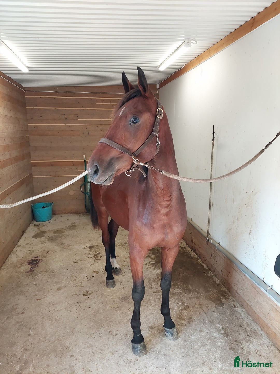  stallplats finnes: Lösdrift Vallentuna i Brottby - Annons 4