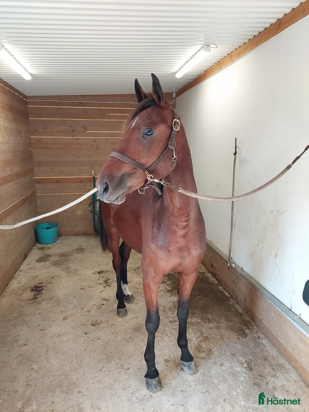  stallplats finnes: Lösdrift Vallentuna i Brottby - Annons 4