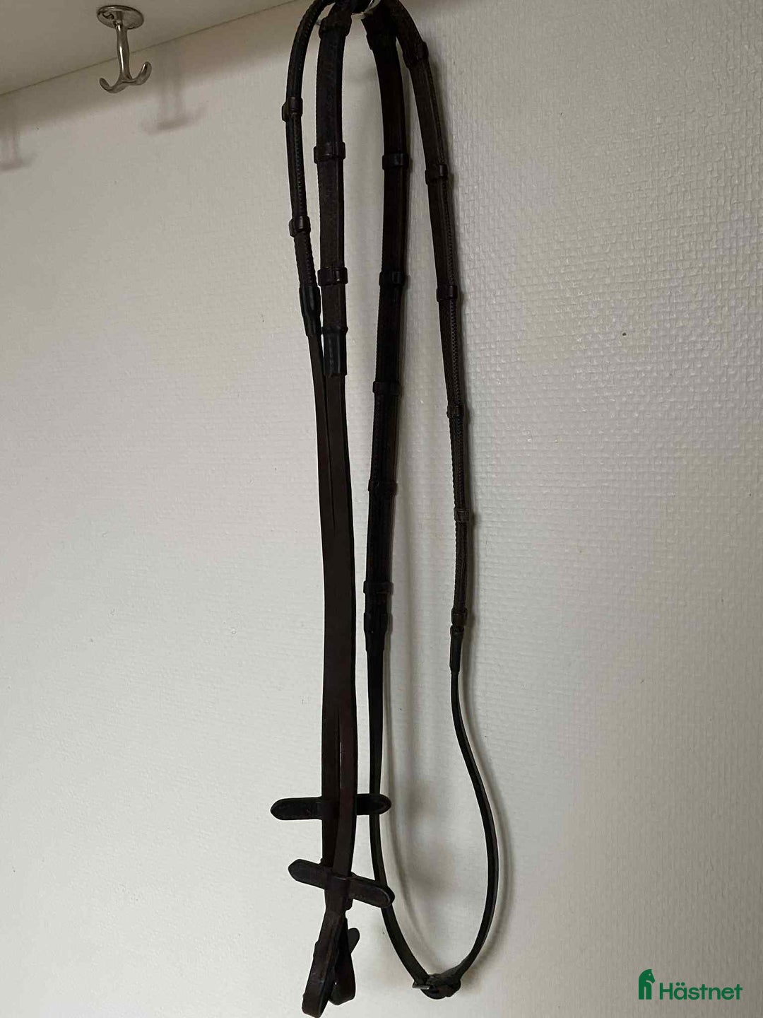 Övrig Hästutrustning hästutrustning till salu: Massa utrustning! i Lund - Annons 9