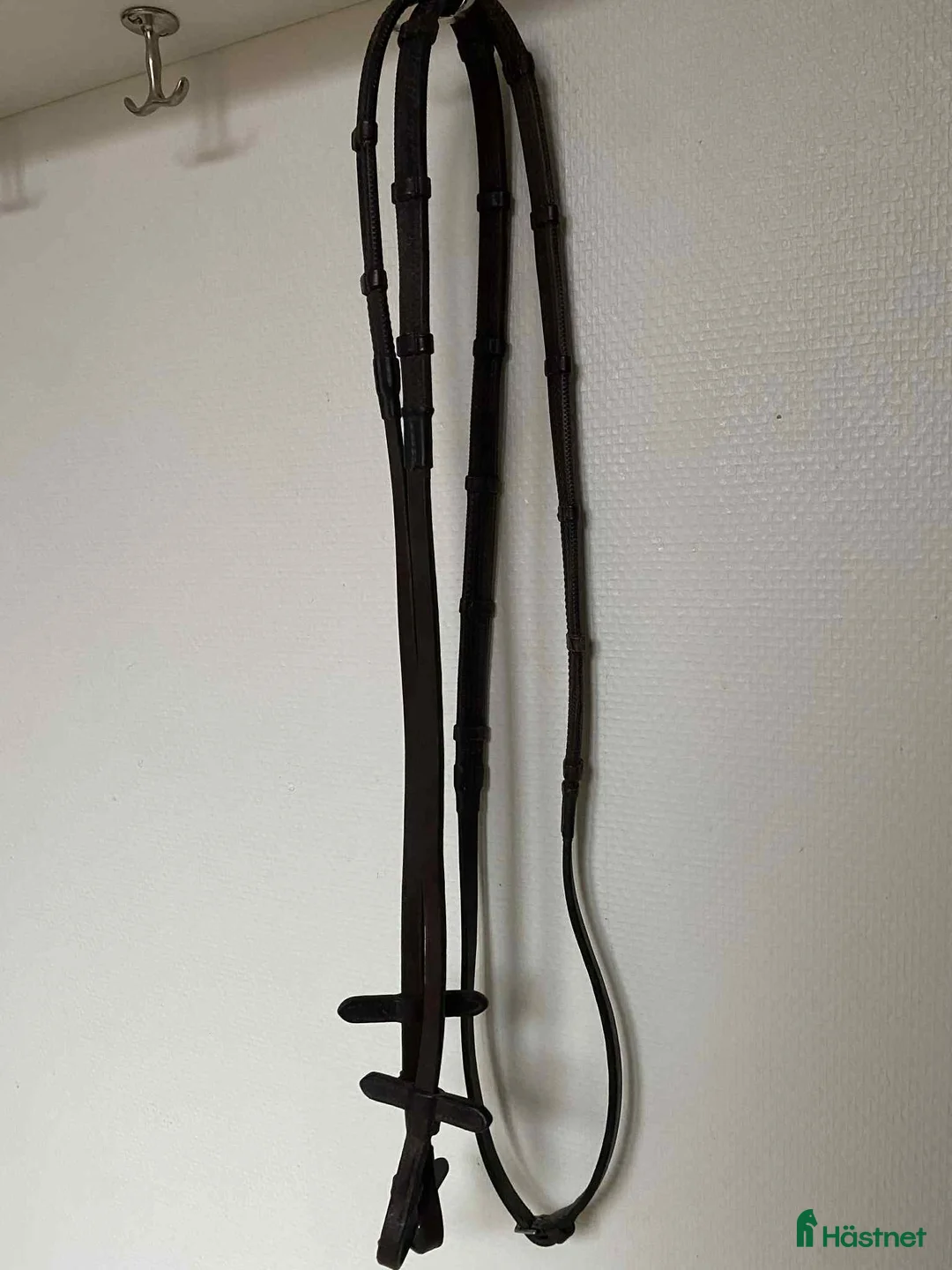 Övrig Hästutrustning hästutrustning till salu: Massa utrustning! i Lund - Annons 9