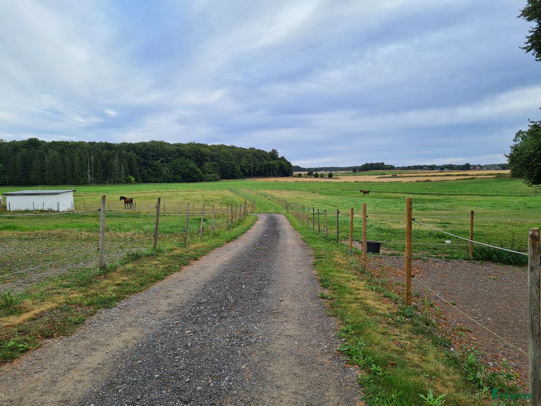  stallplats finnes: Stallplats i Färlöv - Annons 4