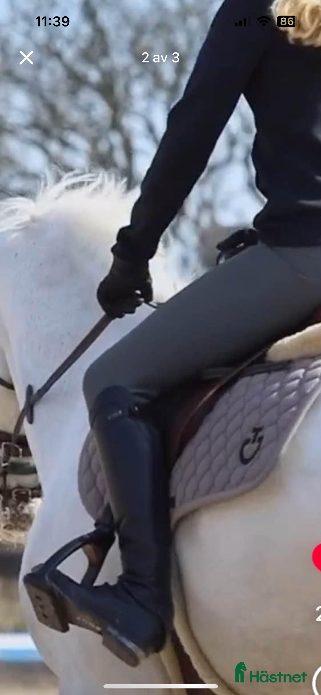 Schabrak & Vojlockar hästutrustning till salu: CT set huva och schabrak i Viken - Annons 2