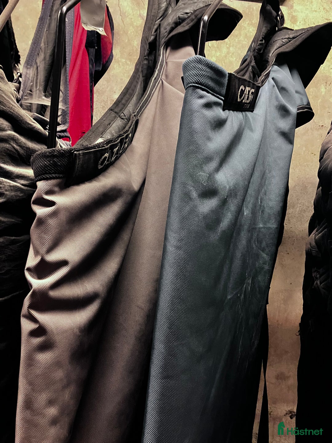 Täcken hästutrustning till salu: Catago Performance stl 165 200 och 400g i Rimbo - Annons 2