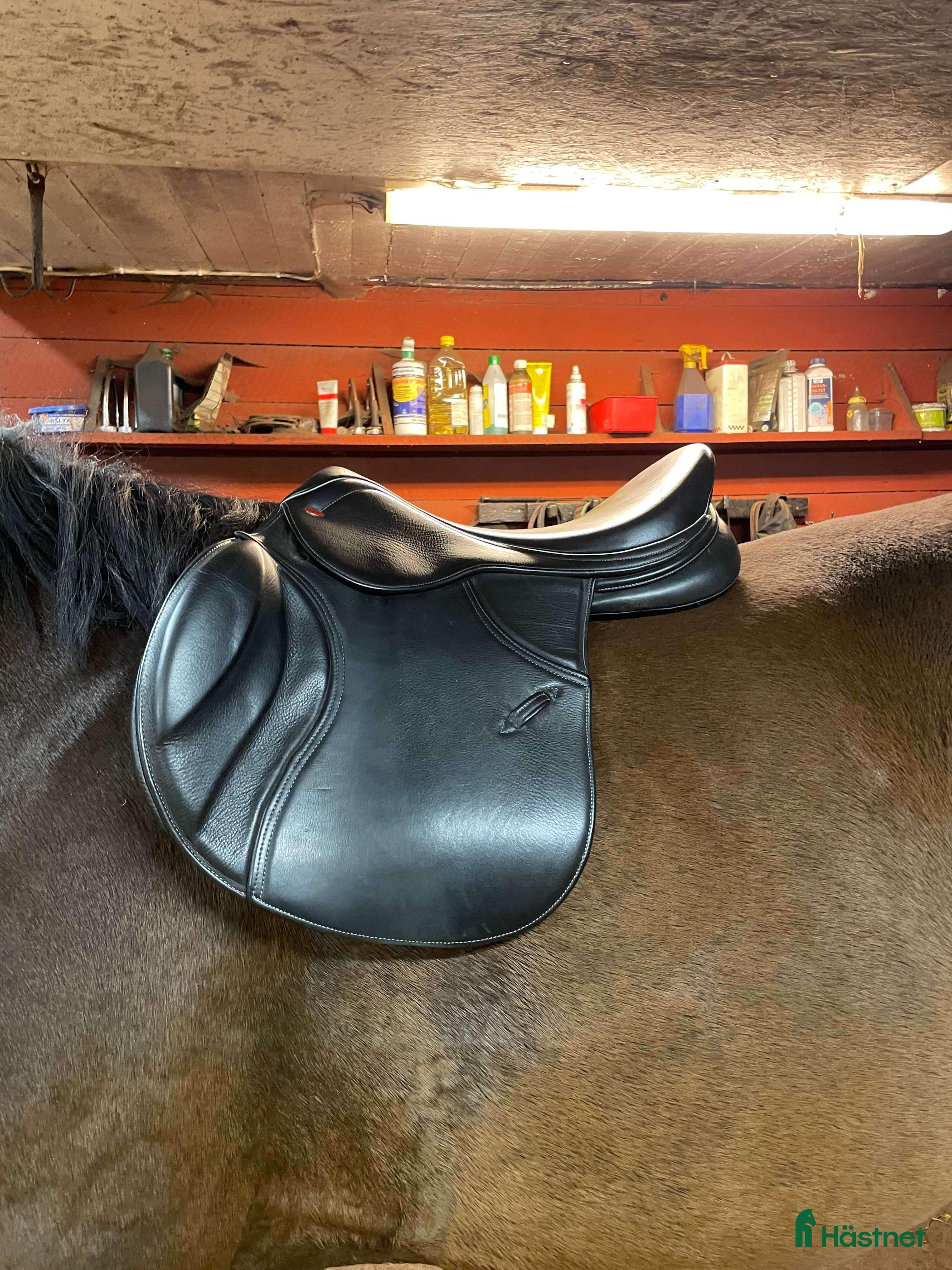 Sadlar hästutrustning till salu: Svart Whitaker Overton Hoppsadel SÄNKT PRIS i Herrljunga - Annons 14