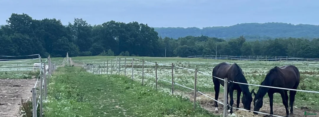  hästgårdar till salu: Stall och hus alt LGH uthyres!  i Kågeröd - Annons 4