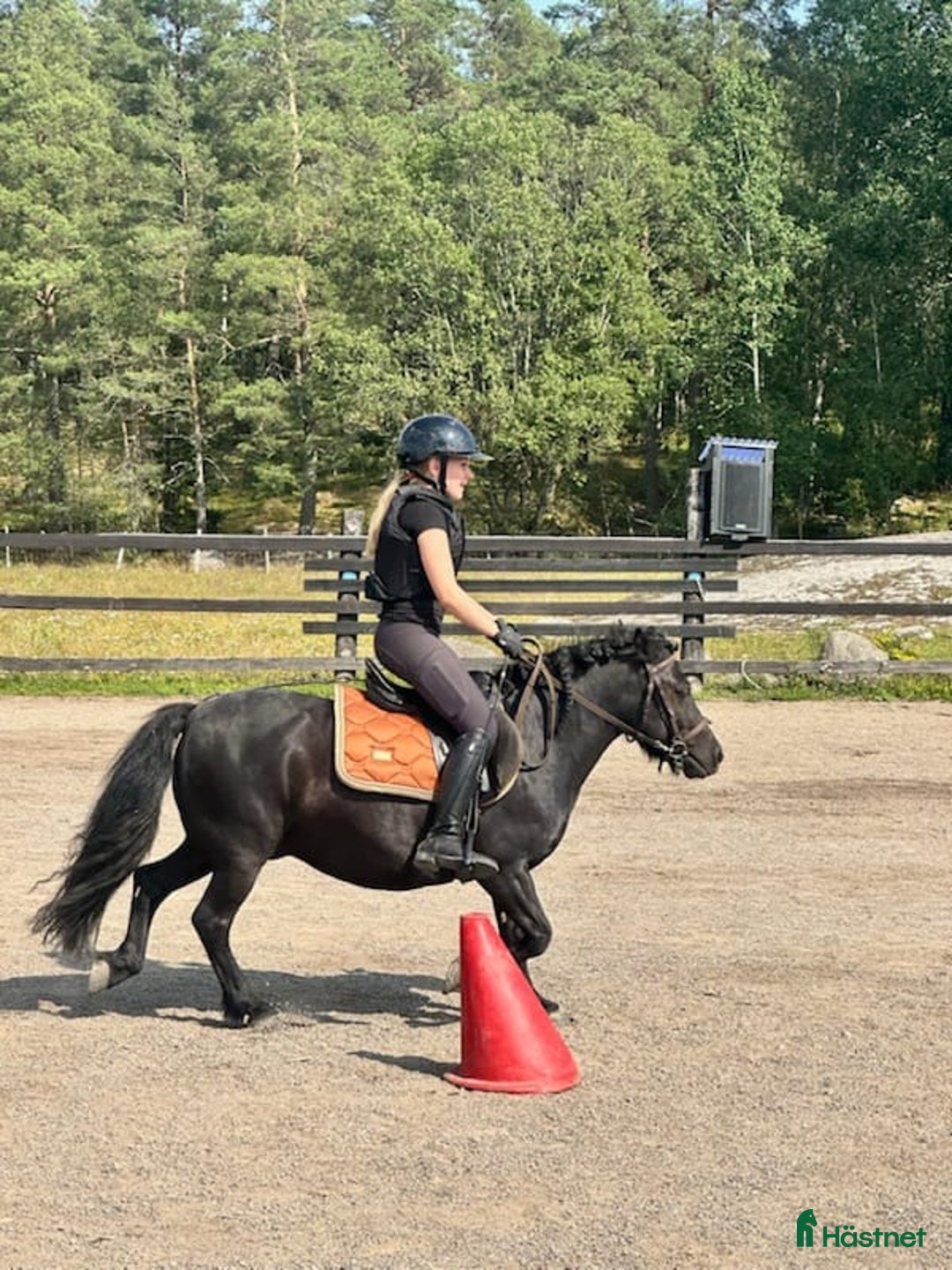 Schabrak & Vojlockar hästutrustning till salu: EQUESTRIAN STOCKHOLM  i Ljusterö - Annons 2