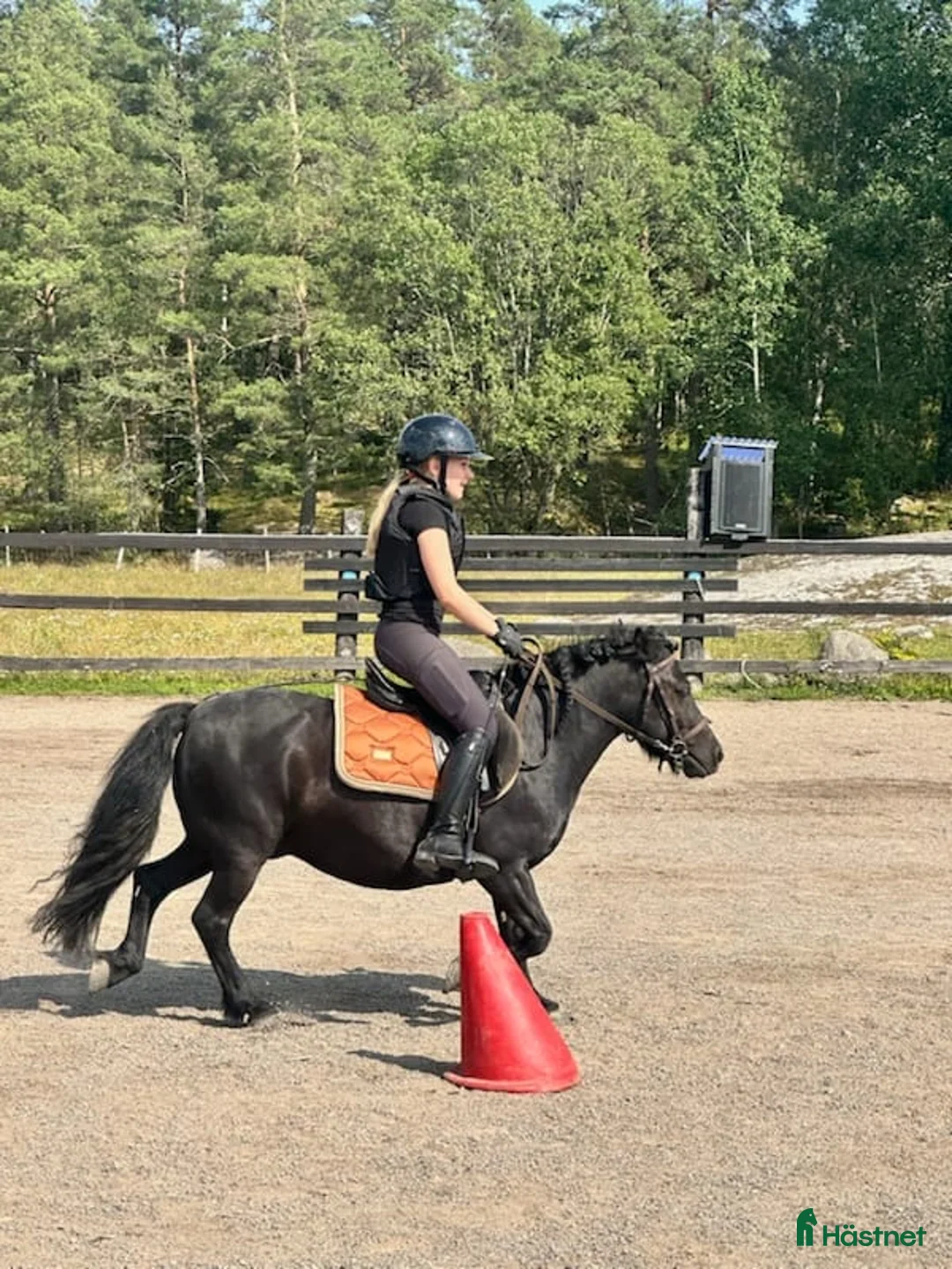 Schabrak & Vojlockar hästutrustning till salu: EQUESTRIAN STOCKHOLM  i Ljusterö - Annons 2
