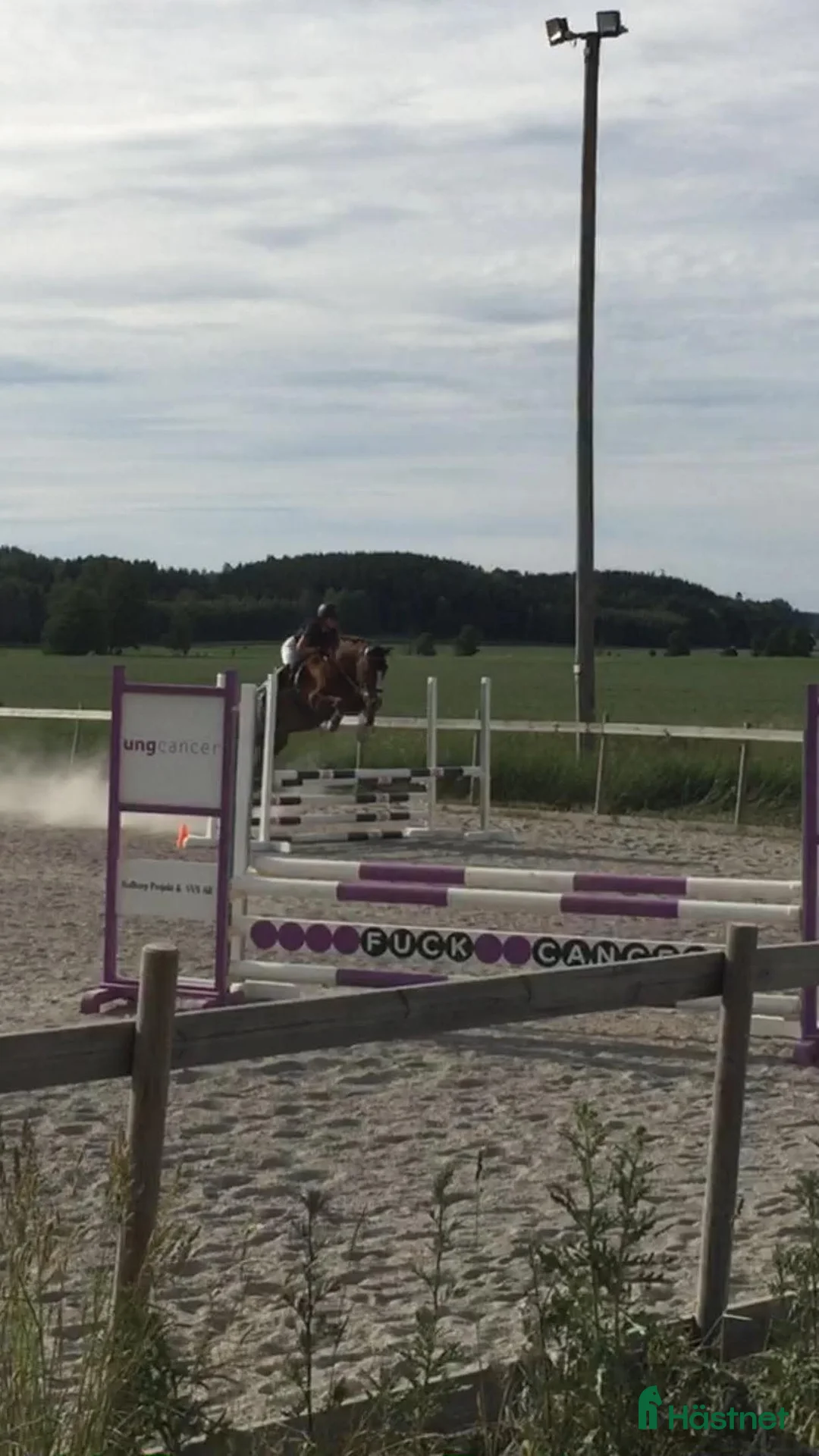  hästservice finnes: Samarbete  i Kållered - Annons 4