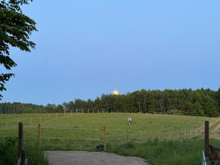 stallplats Boxplats - stora hagar och lugn stallmiljö - Annons 4