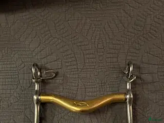 Bett hästutrustning Fin Kandarstång i Tullinge - Annons 17