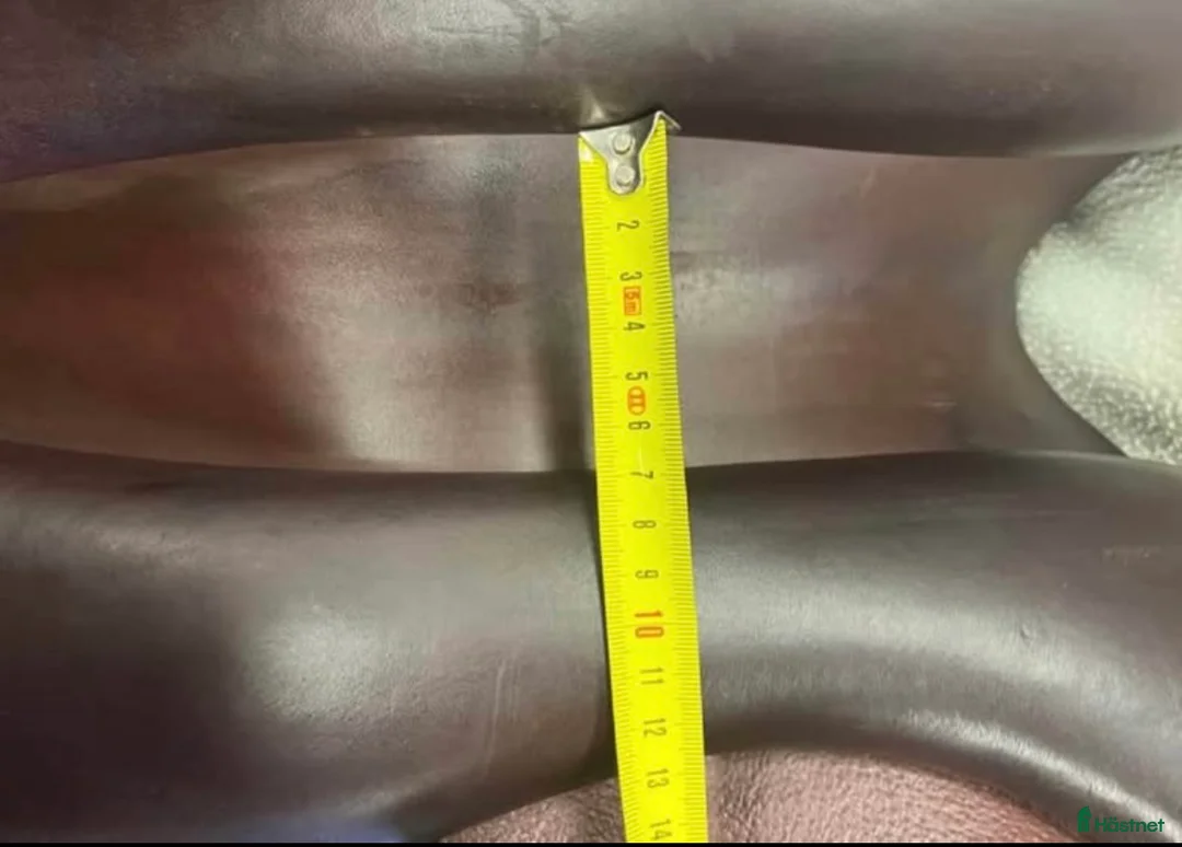 Sadlar hästutrustning till salu: Evolut sadel - Annons 5