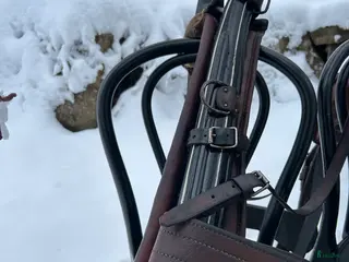 Körselar körning till salu: Loksele 33” från Tärnsjö - Annons 11