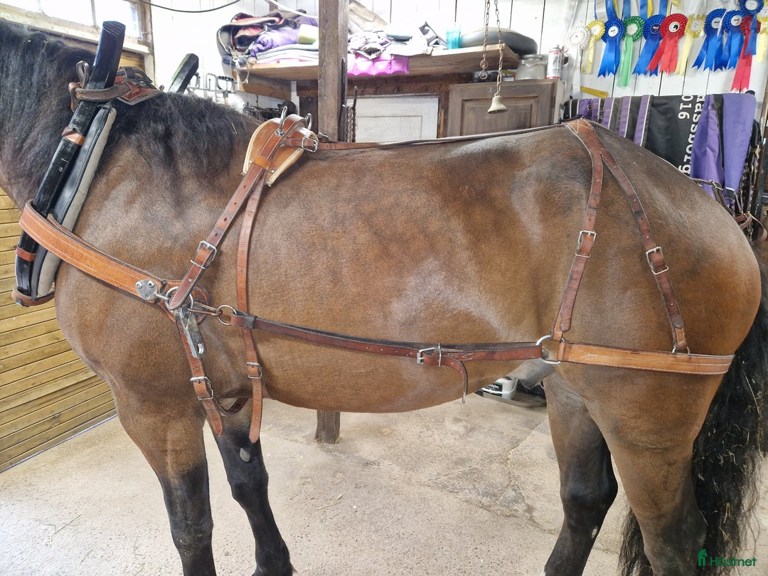 Körselar körning till salu: Loksele i Rättvik - Annons 3