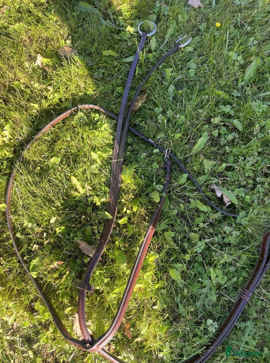 Övrig Hästutrustning hästutrustning till salu: Equility Line martingal stl full med snabbknäppe i Flen - Annons 1