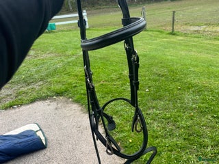 Träns hästutrustning till salu: HFI träns i Eksjö - Annons 2