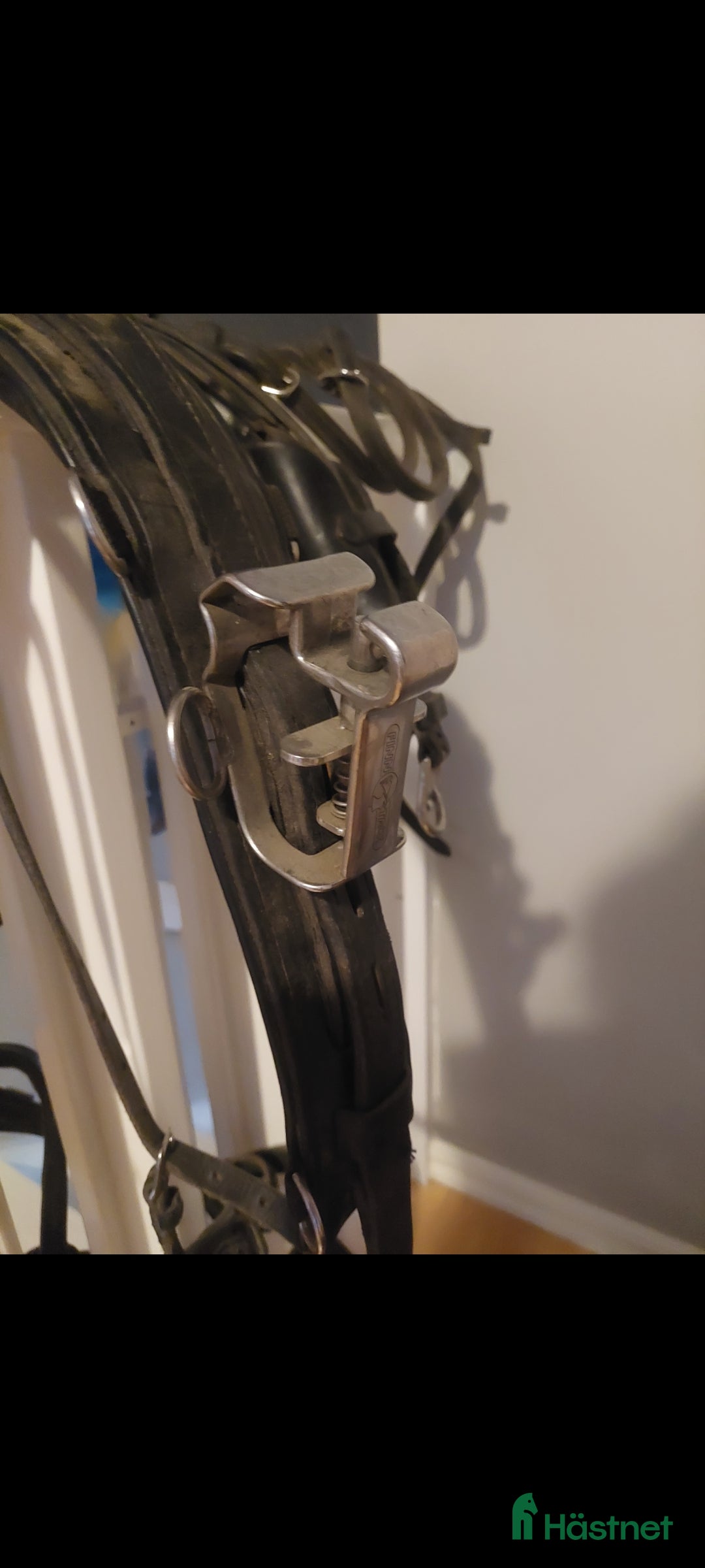 Travselar trav till salu: Travsele Finn Tack med QH fästen storlek full i Gnesta - Annons 4