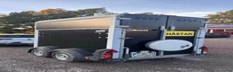 Hästtransporter  fordon & transport till salu: Ifor Williams HB403 (2017) - Annons 3
