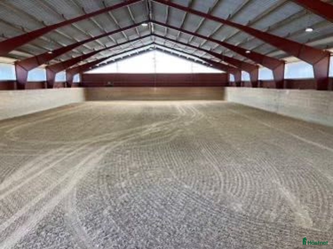  stallplats finnes: Privatstall i Nacka i Saltsjöbaden - Annons 2