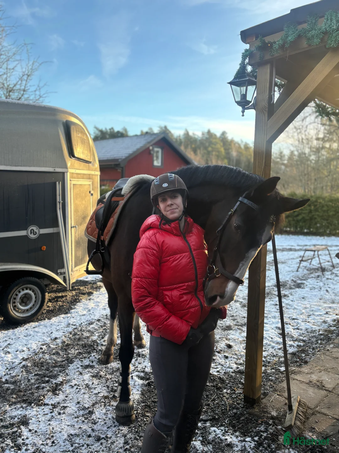  medryttarhäst finnes: Erfaren medryttare till häftig Swb hopp/dressyr i Västerhaninge - Annons 9