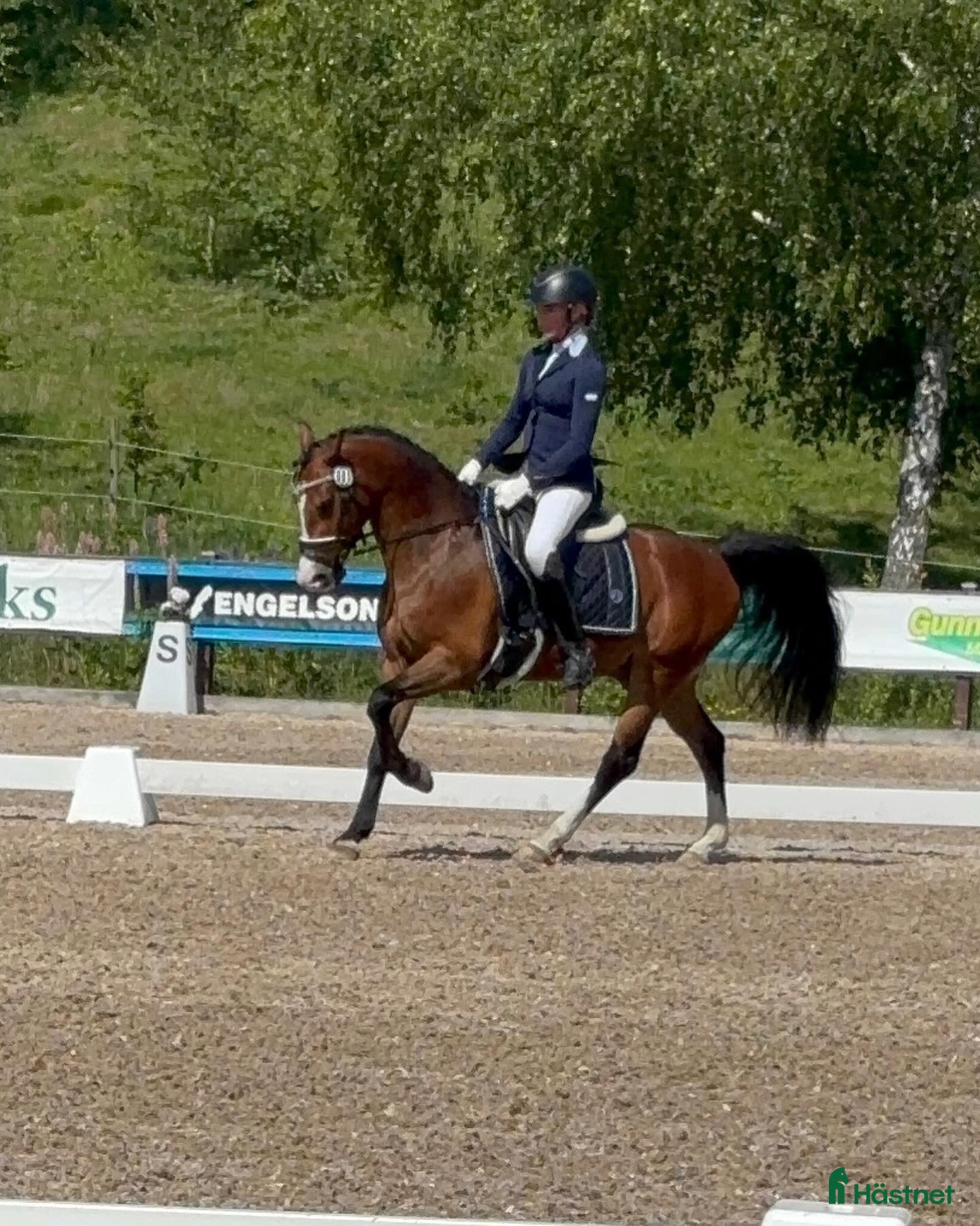  hästar FEI Mästerskaps D-Ponny i Kungsbacka - Annons 4