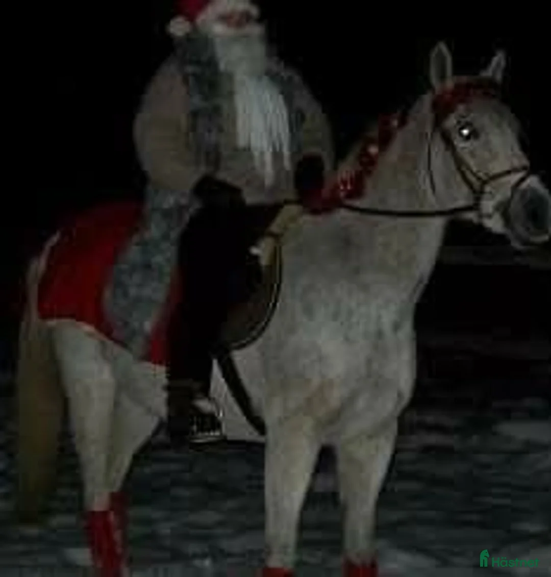 Galleribild {{count}}