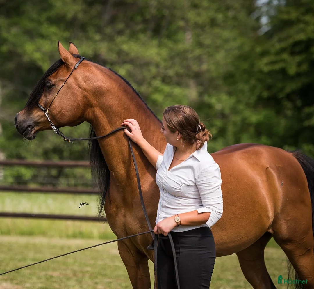 Galleribild {{count}}