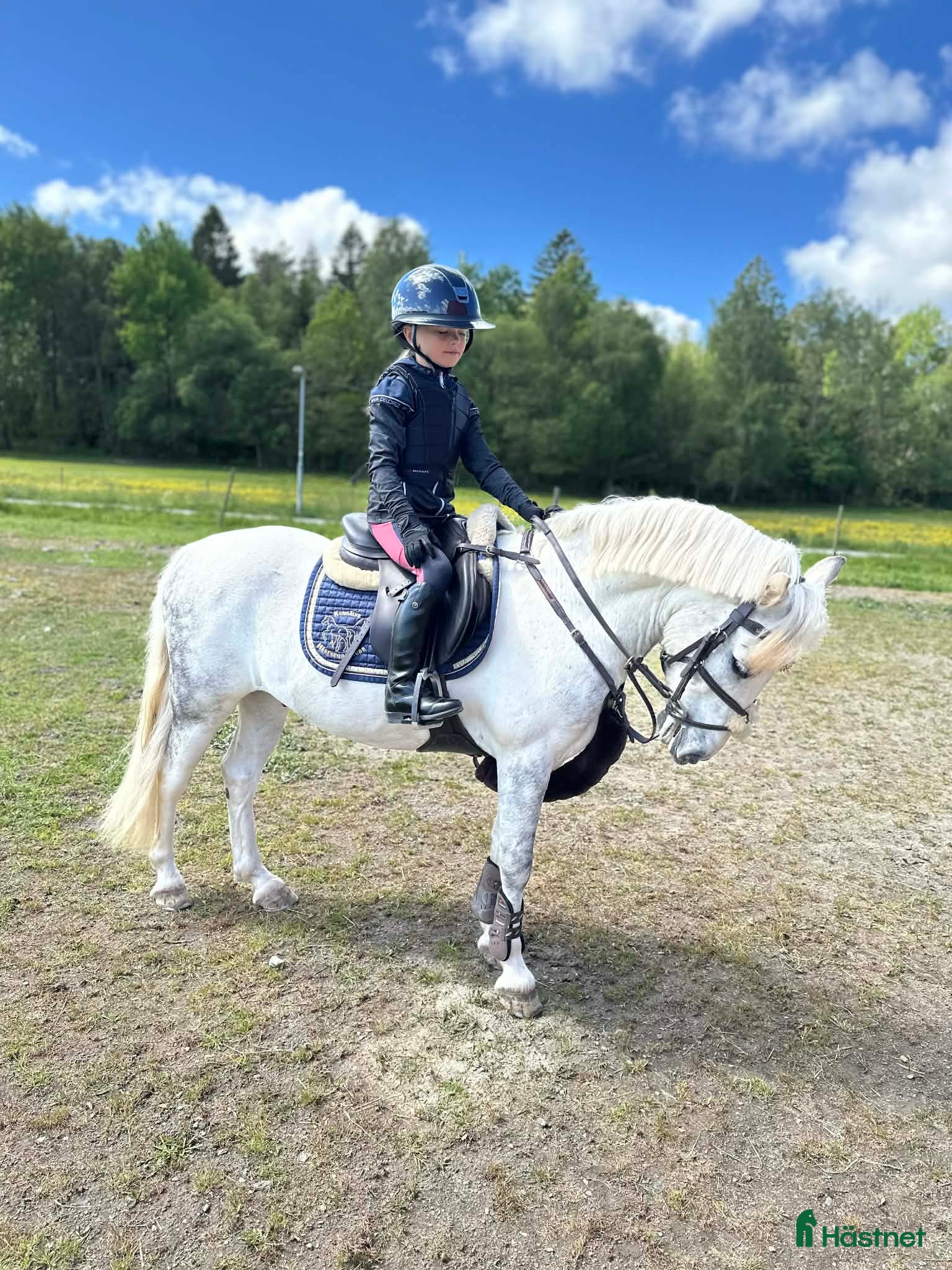  hästar Hopponny - Annons 5