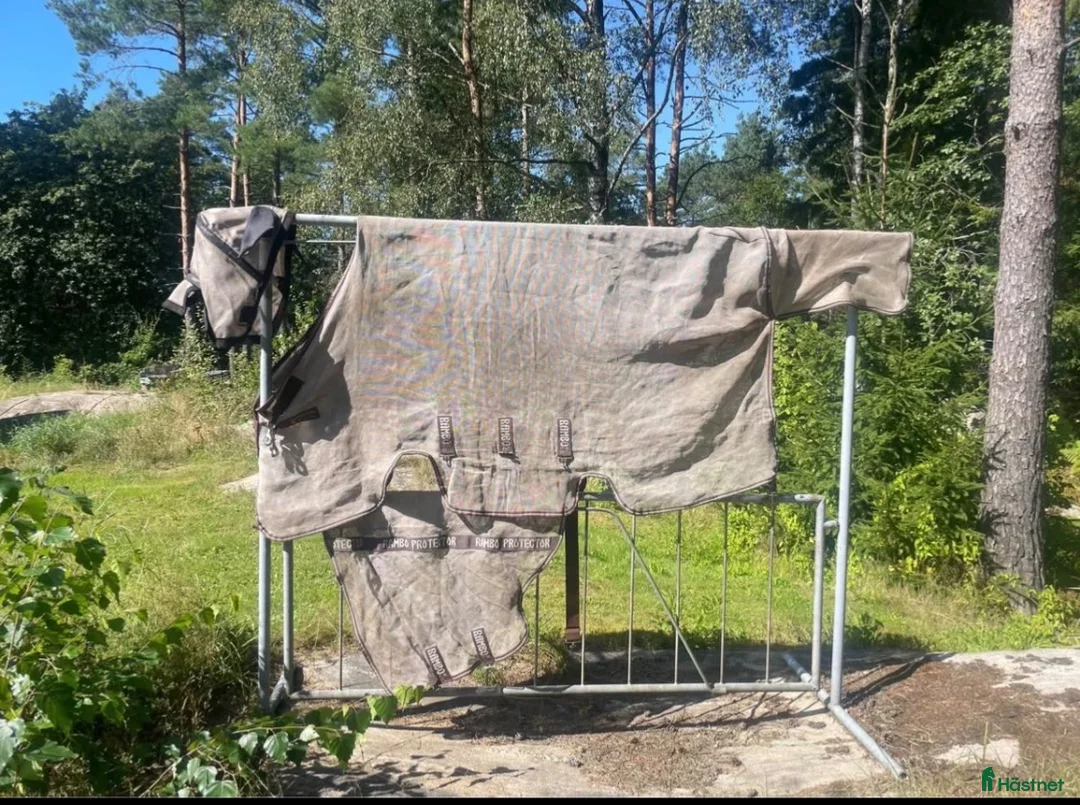 Täcken hästutrustning till salu: Flugtäcke, Rambo protector, stl 145 - Annons 1