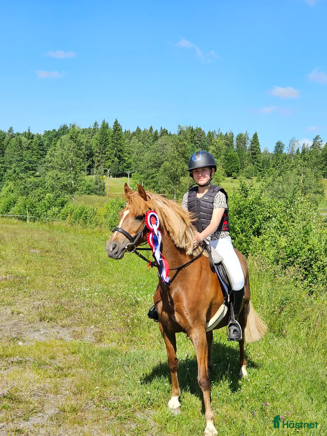 Allround hästar till salu: Drömponny i Askersund - Annons 1