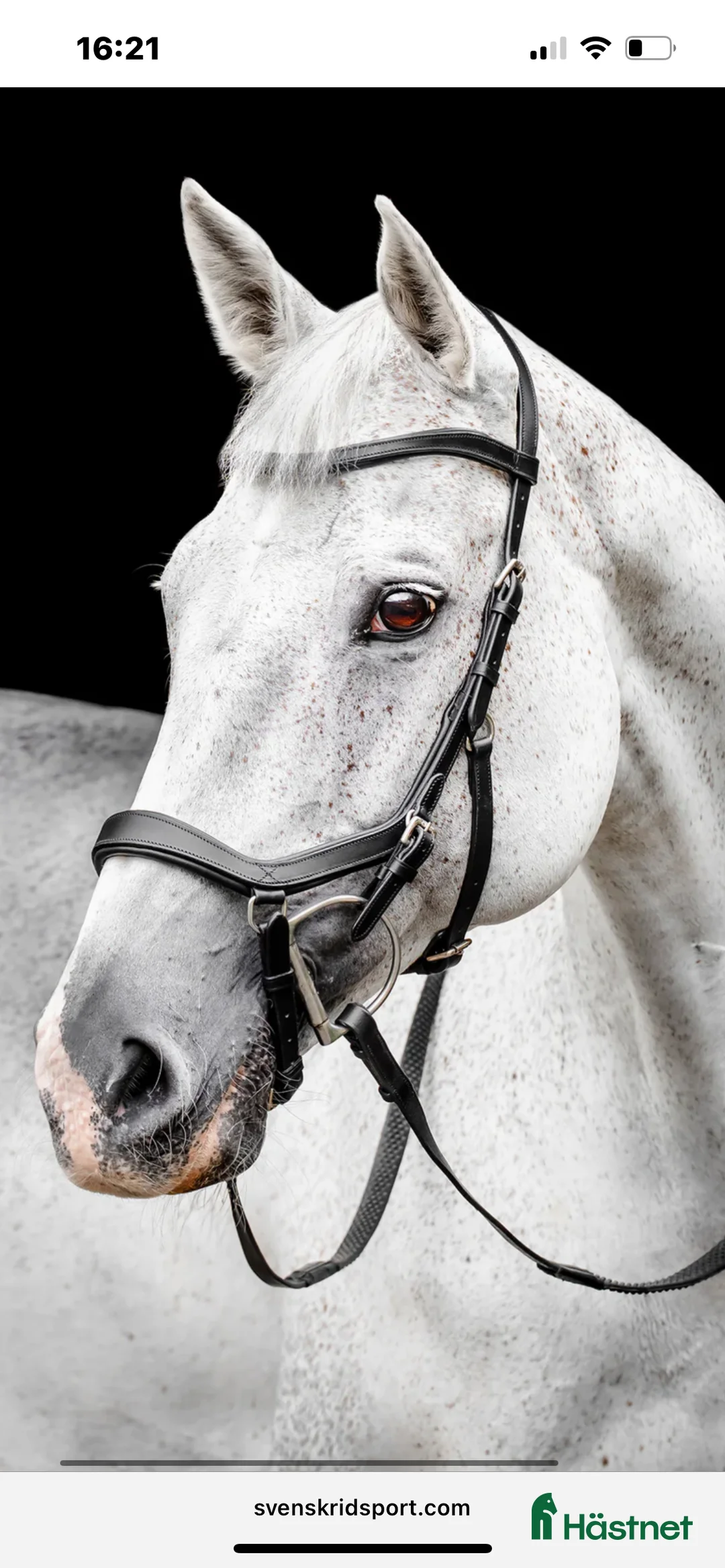 Träns hästutrustning till salu: Micklem competition träns svart cob i Oskarshamn - Annons 4