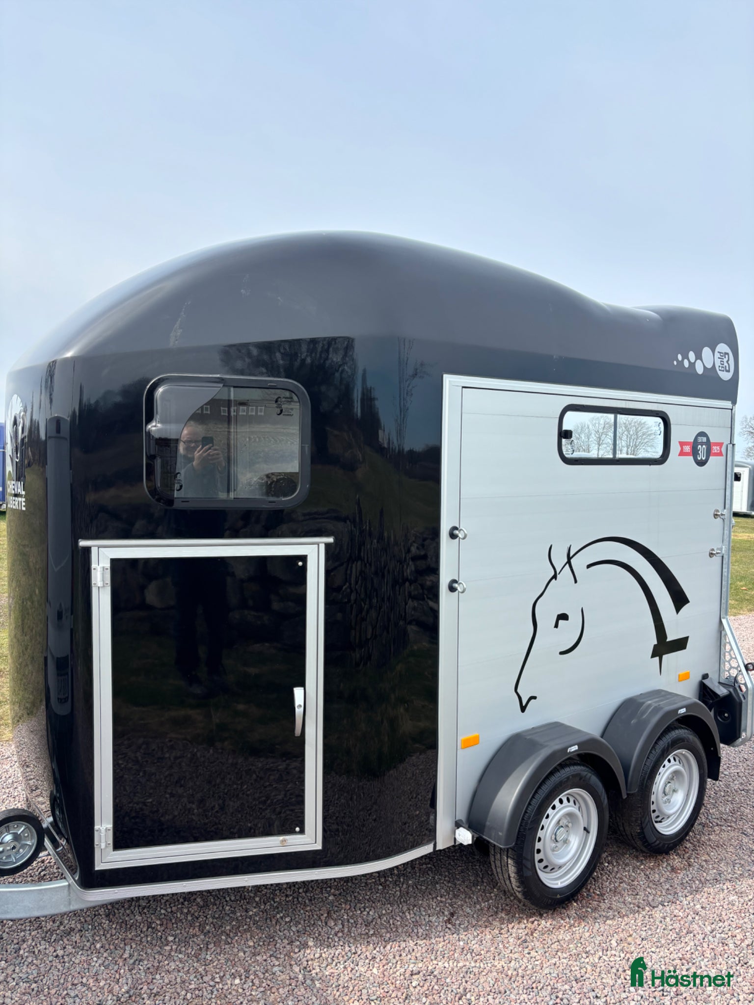 Hästtransporter  fordon & transport till salu: Cheval Gold 3 - Annons 6