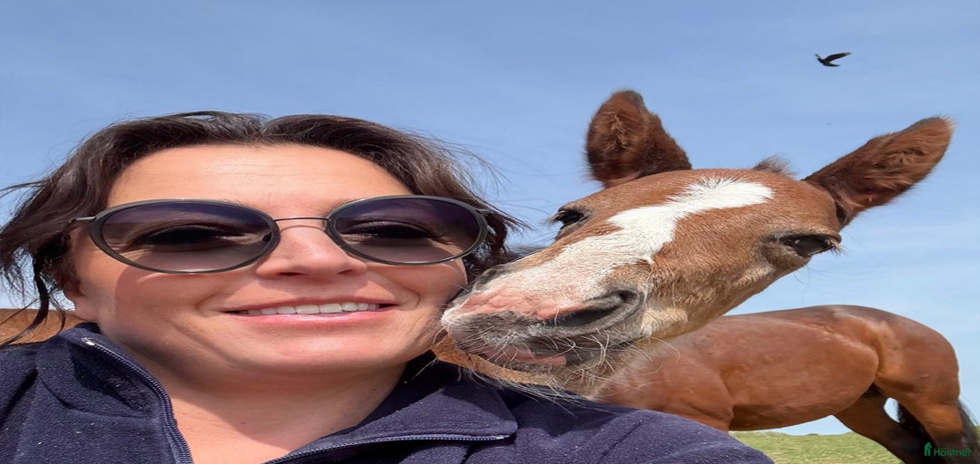 Galleribild {{count}}