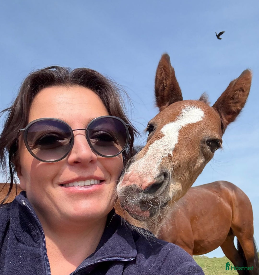 Galleribild {{count}}