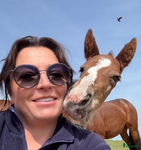 Galleribild {{count}}