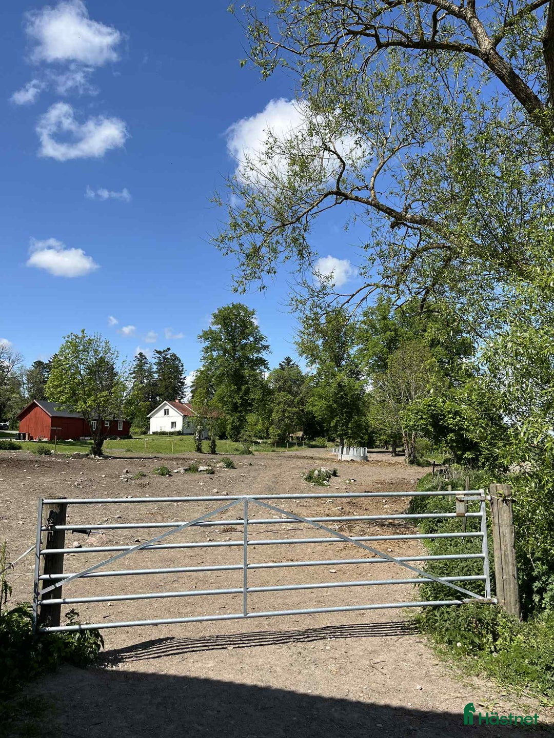  stallplats finnes: Ledig stallplats i Börje  i Uppsala - Annons 2