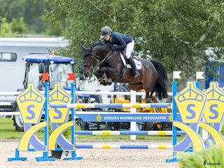 hästar Trevlig junior/childrenhäst i Norrköping - Annons 4