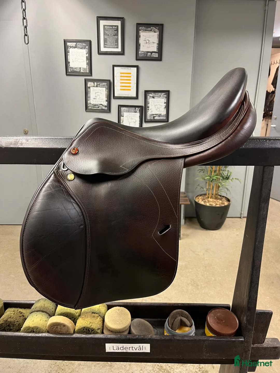 Sadlar hästutrustning till salu: Prestige Versailles  - Annons 1