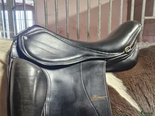 Sadlar hästutrustning Hrimnir Master i Slöinge - Annons 8